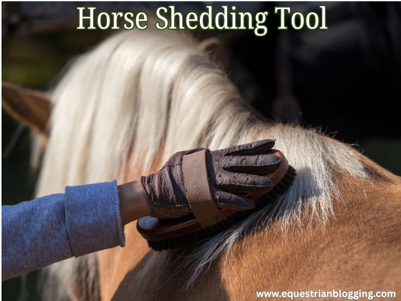 Horse Shedding Tool