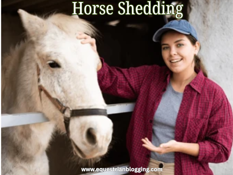 Horse Shedding
