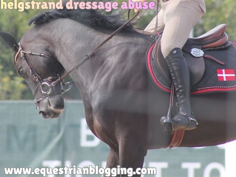 helgstrand dressage abuse
