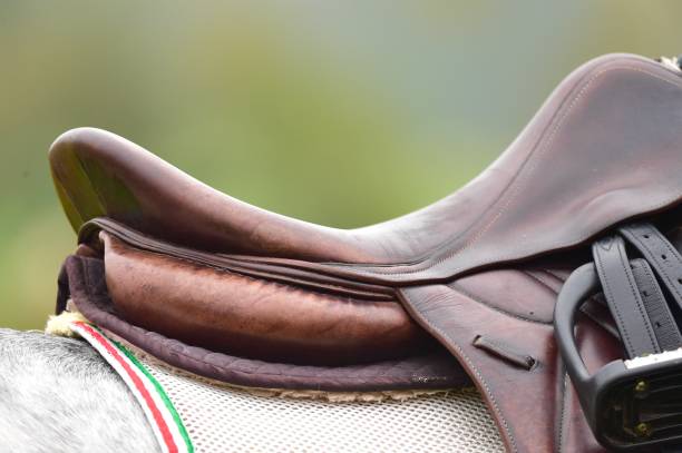 Best Dressage Saddles