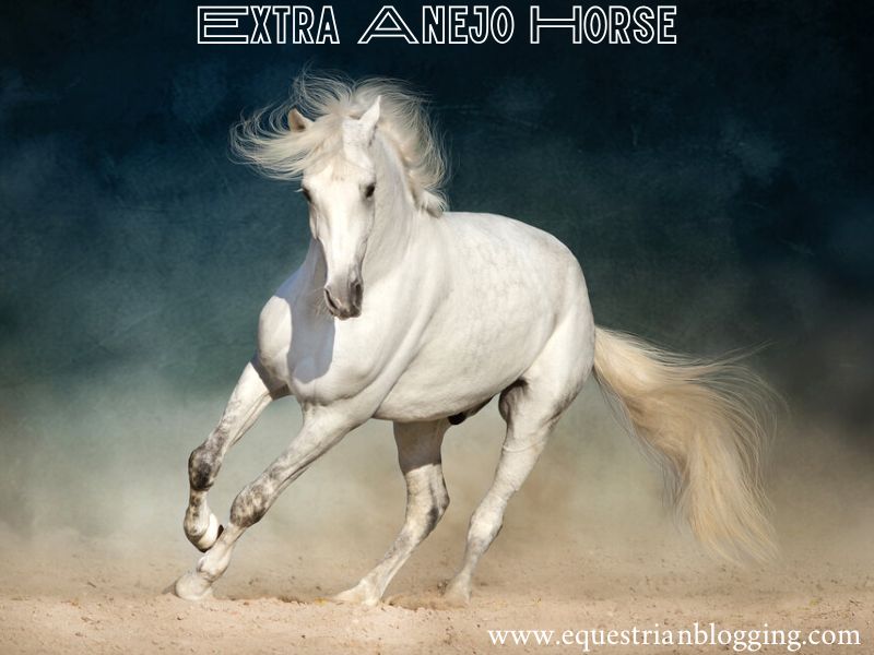 Extra Anejo Horse