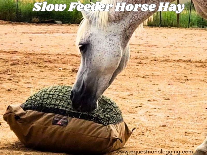 Slow Feeder Horse Hay