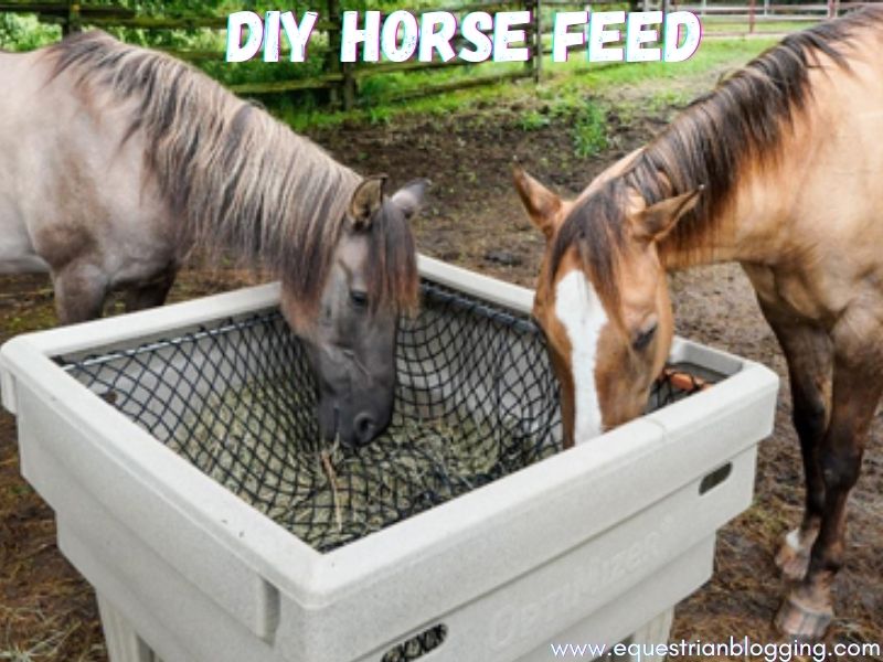 Diy Horse Feed
