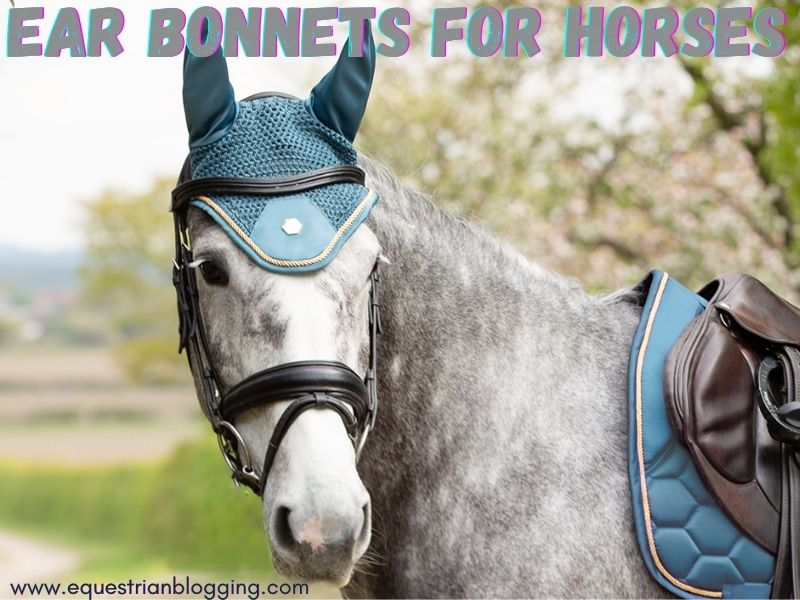 Ear Bonnets for Horses