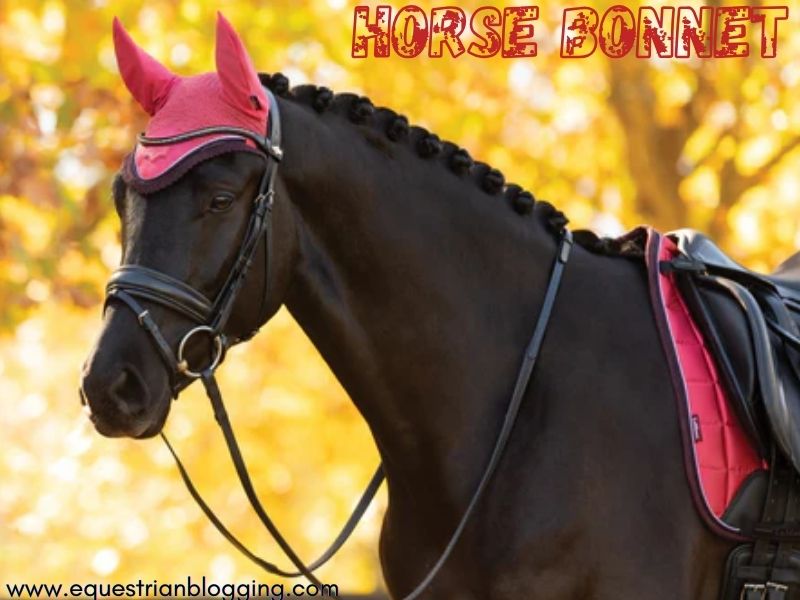 Horse Bonnet