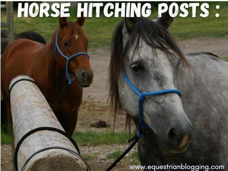 Horse Hitching Posts