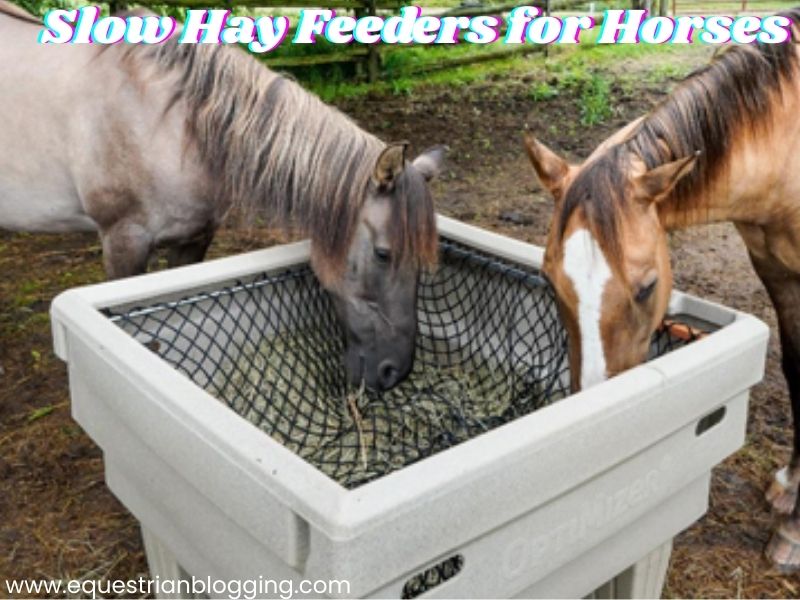 Slow Hay Feeders for Horses