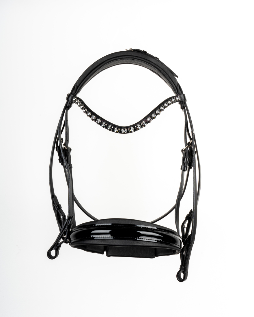 Best Bitless Bridle