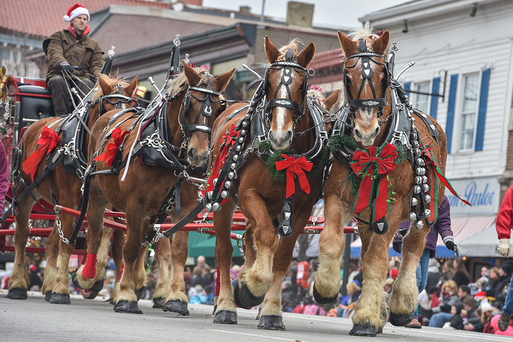 Christmas Movies With Horses