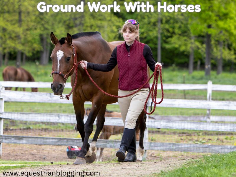 Ground Work With Horses