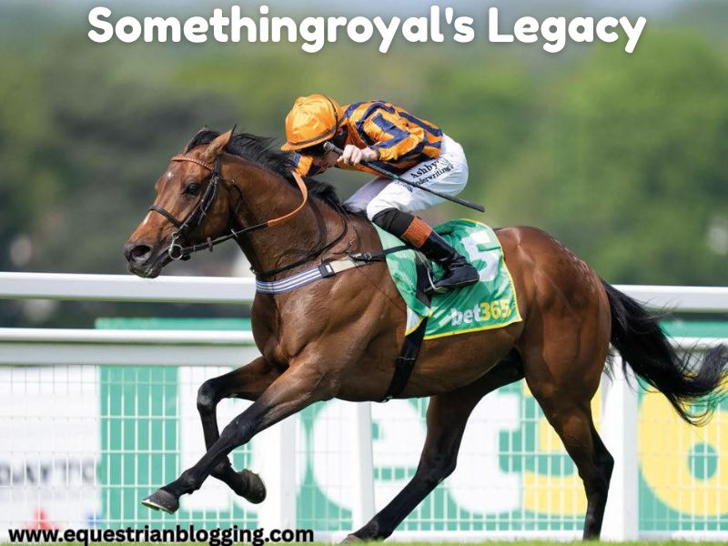 Somethingroyal's Legacy