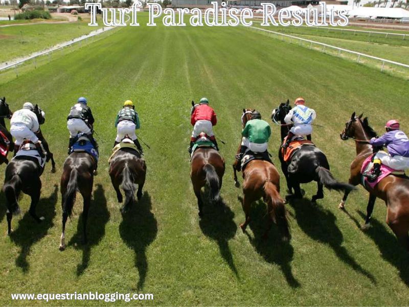 Turf Paradise Results