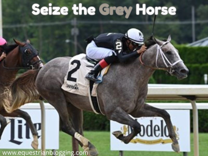 Seize the Grey Horse