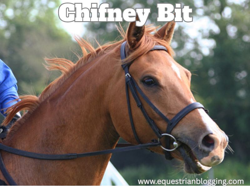 Chifney Bit