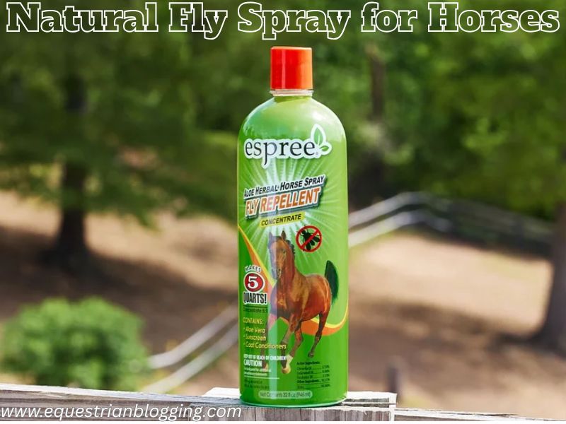Natural Fly Spray for Horses