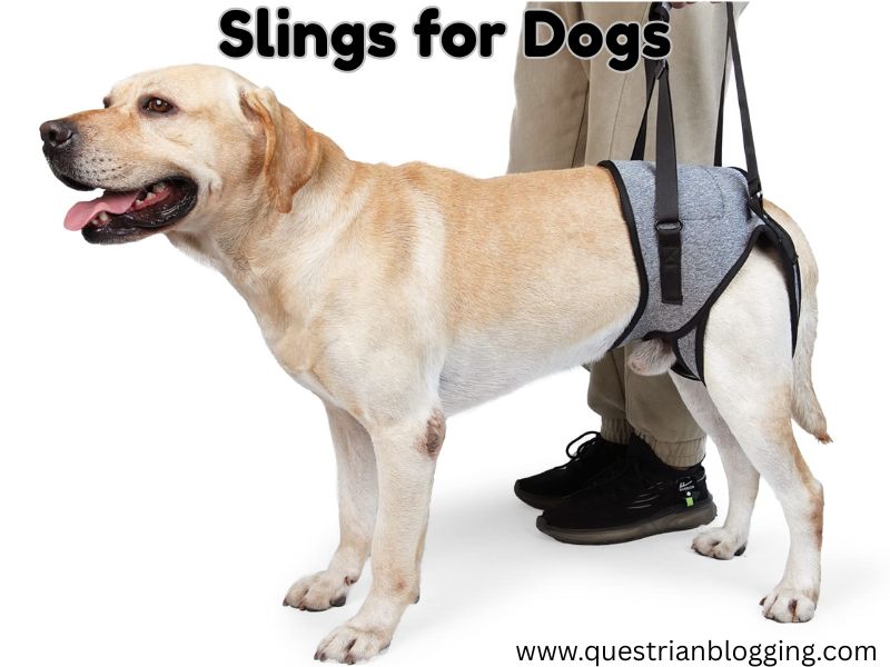 Slings for Dogs