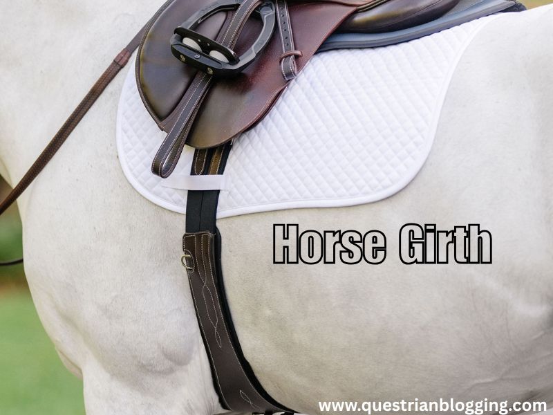 Horse Girth