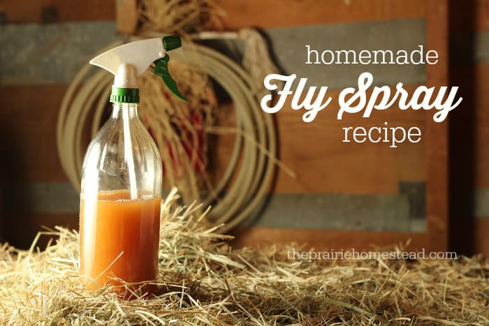 Homemade Fly Repellent for Horses
