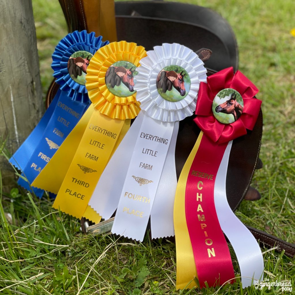 Horse Show Ribbon Colors