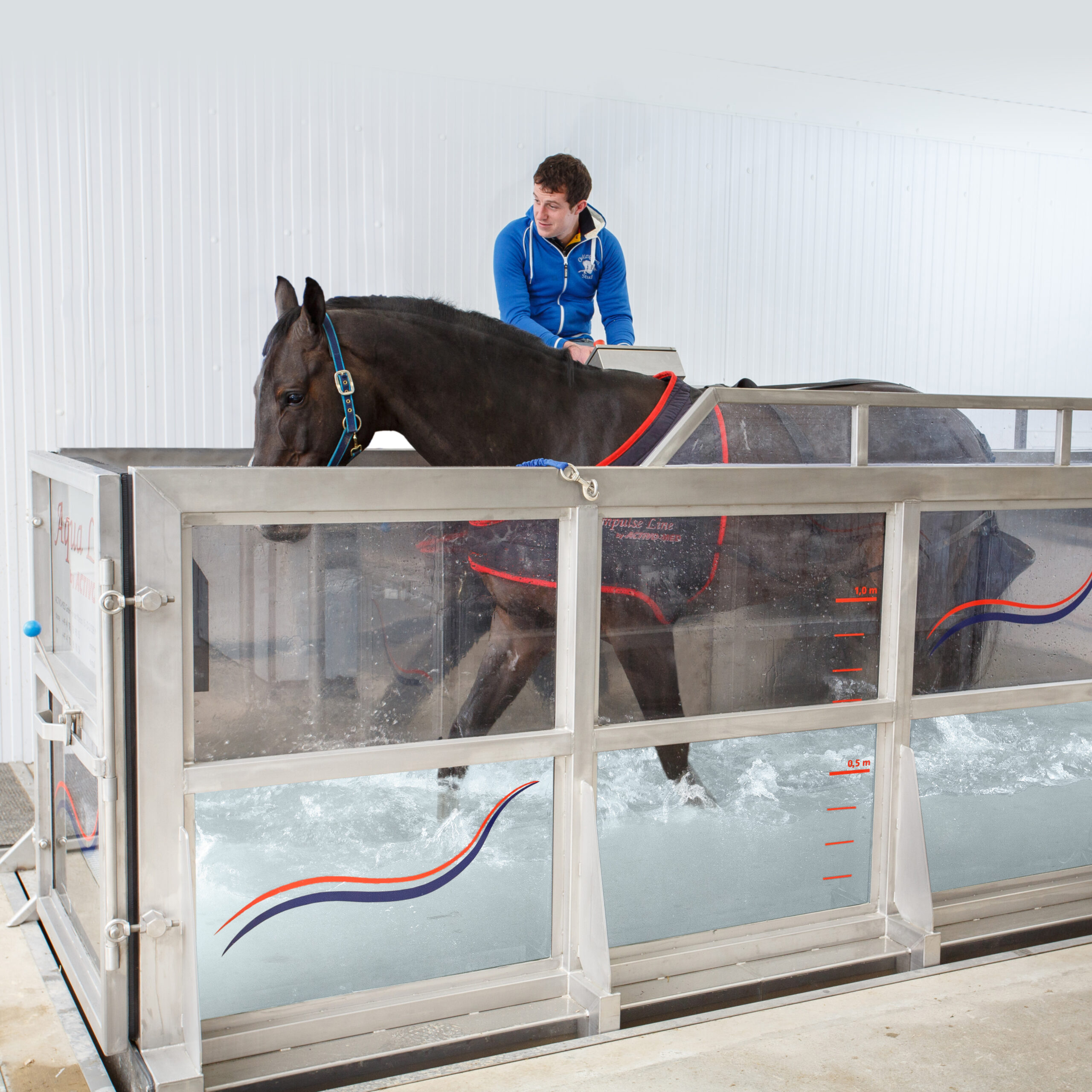Horse Treadmill