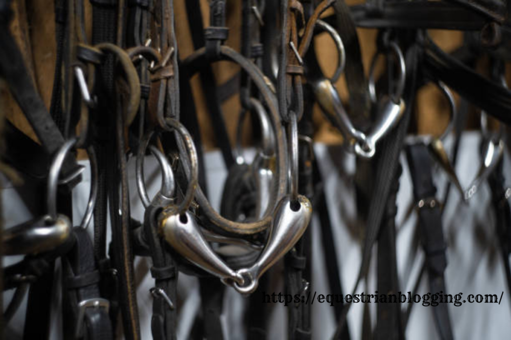 hanging cheek snaffles