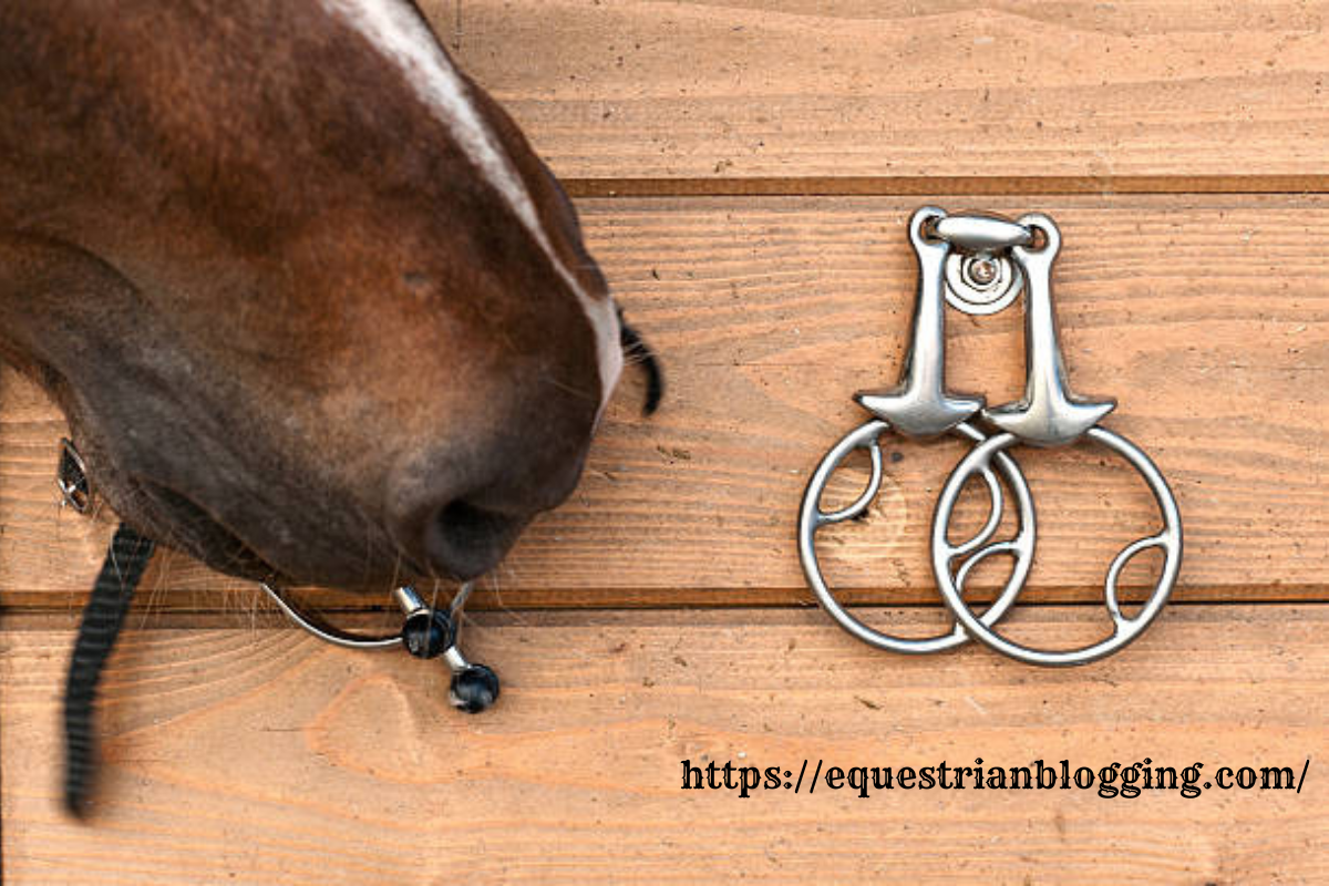 hanging cheek snaffles